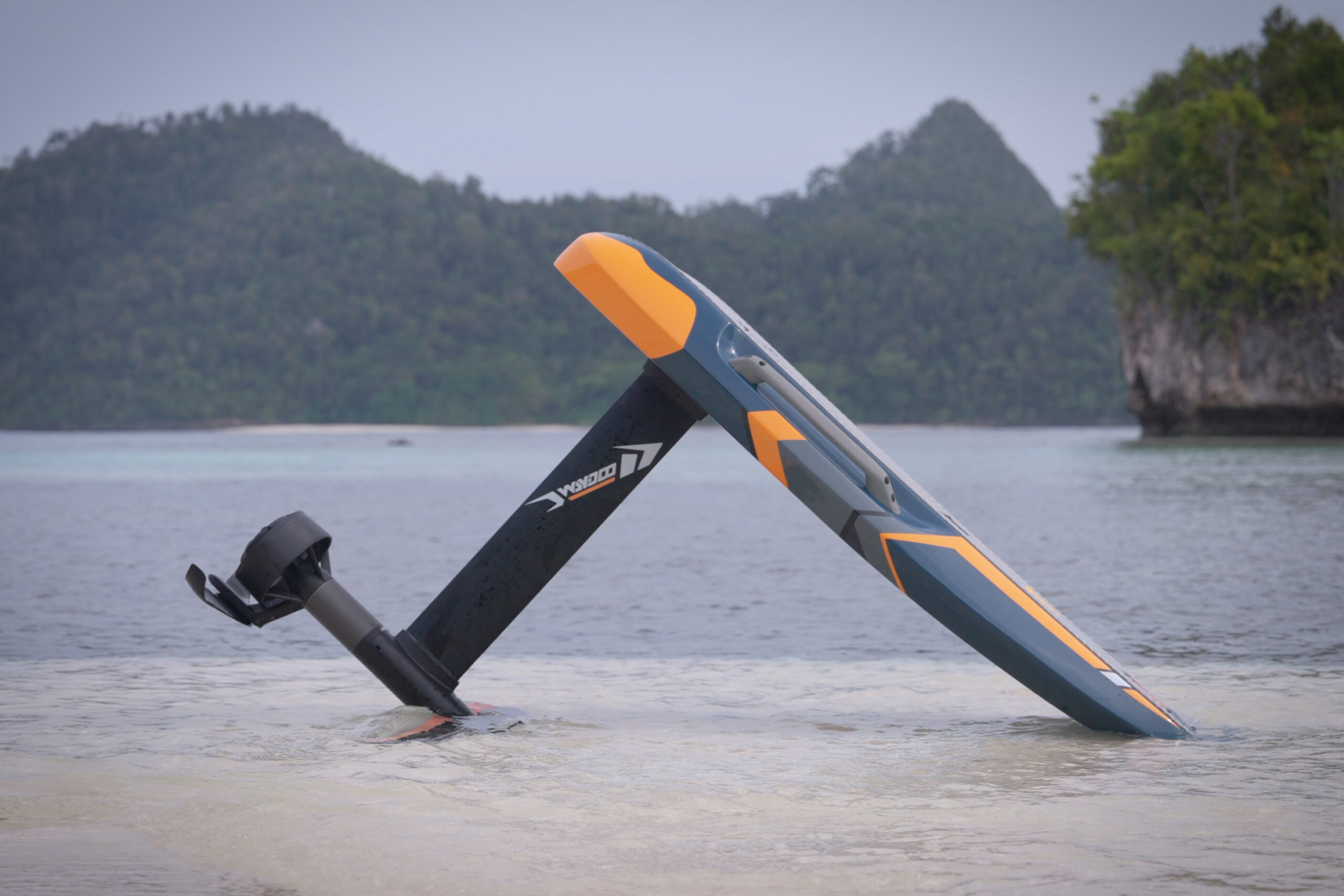 Waydoo Flyer EVO Master Plus